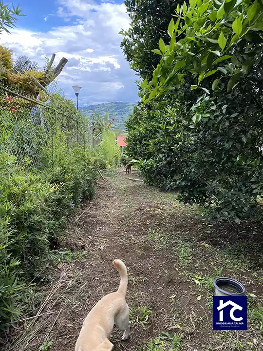 San José lote 2b Urbanización California